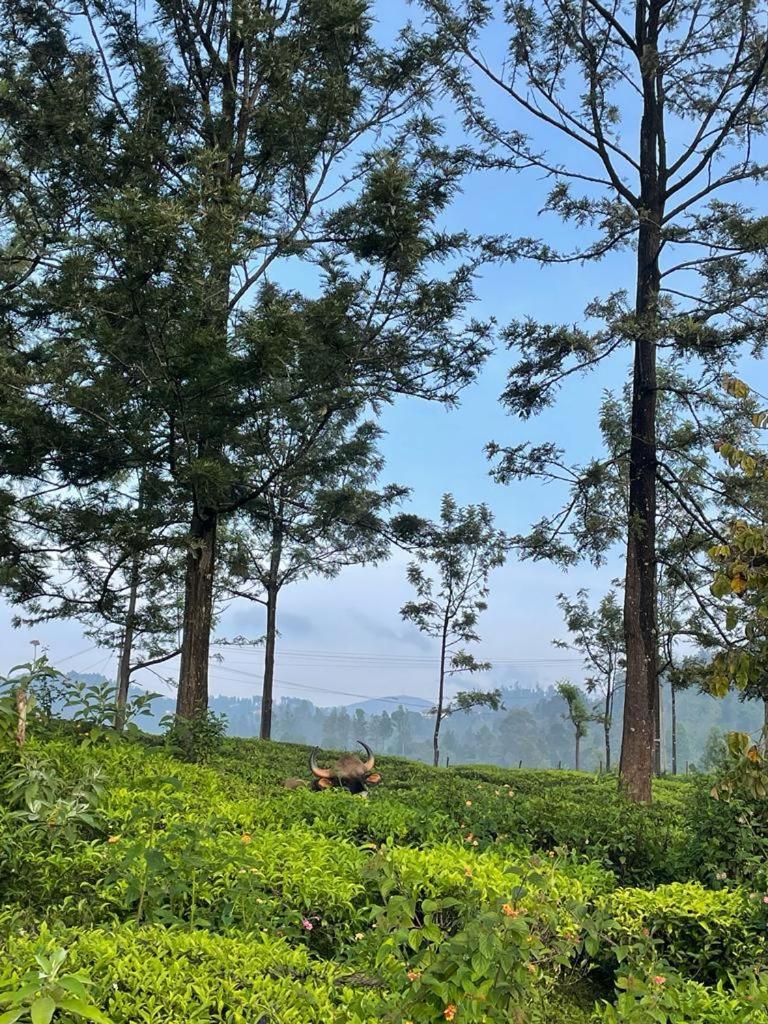 Ghar - Homestay, Where Family Lives Together Aravankadu ภายนอก รูปภาพ