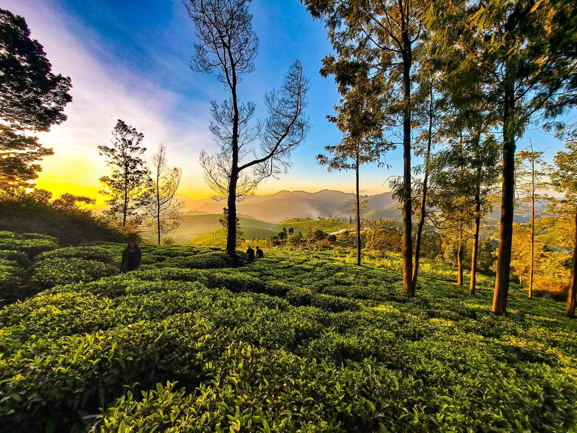 Ghar - Homestay, Where Family Lives Together Aravankadu ภายนอก รูปภาพ